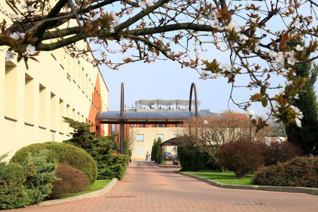 Centrum Konferencyjne Ibib Pan Varsovia Exterior foto